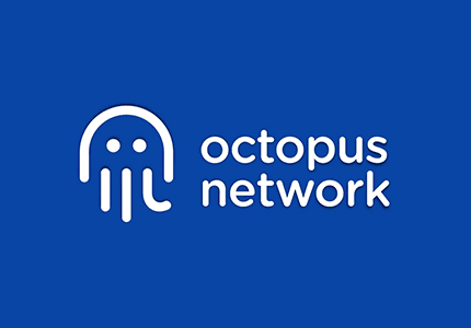 Octopus Networks